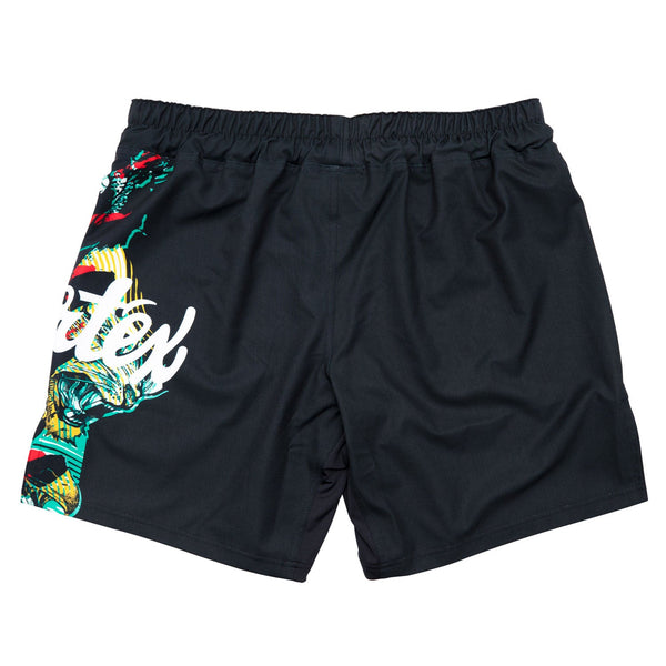 AB13 Fairtex MMA Board Shorts Wild