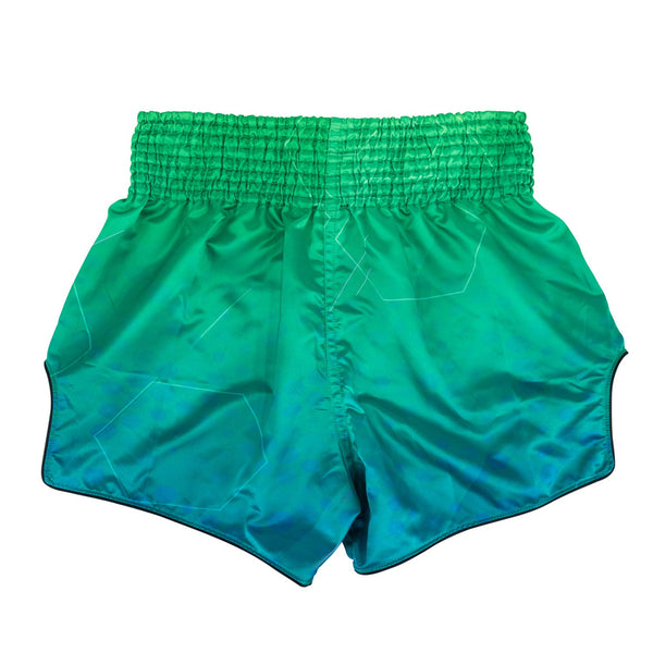 BS1953 Fairtex Quantum Muaythai Shorts