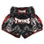 Twins Special Muaythai Shorts - KABUKI
