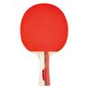 Table Tennis 4 Rackets and 3 Balls Set - Gymzey.com
