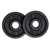 Cast Iron Weight Plates 30mm Standard 1.25kg - 20kg - Gymzey.com