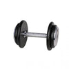 Professional Grade Dumbbells ProfiST