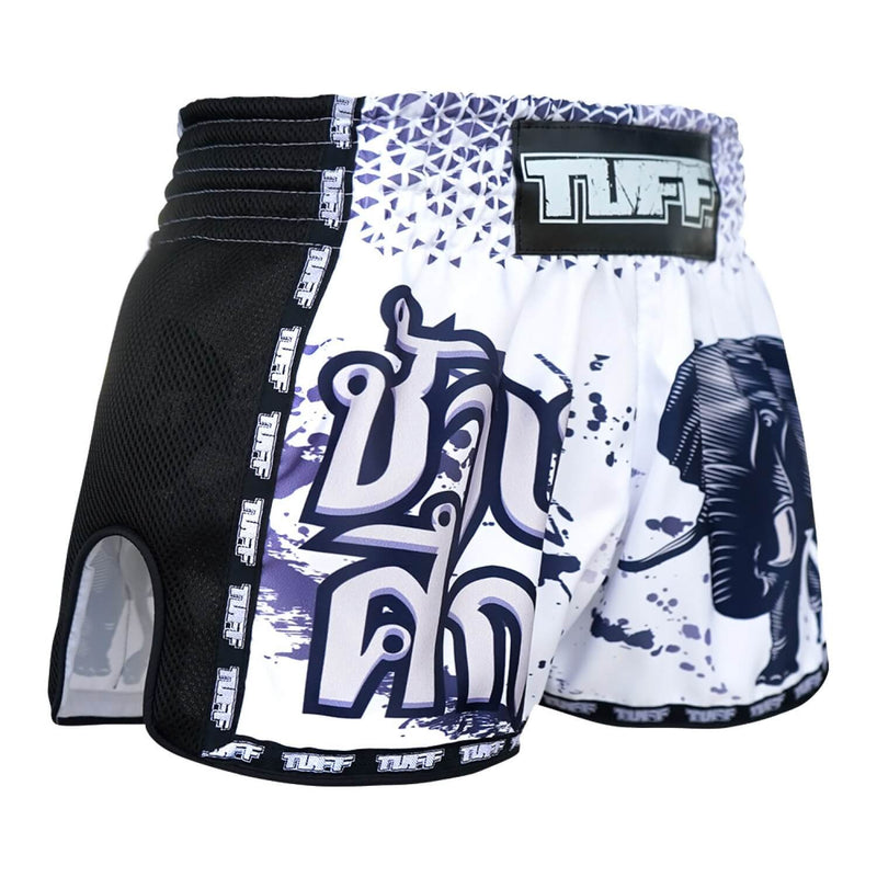 Shorts Fairtex Muay Thai BS1905 - Azul Fade